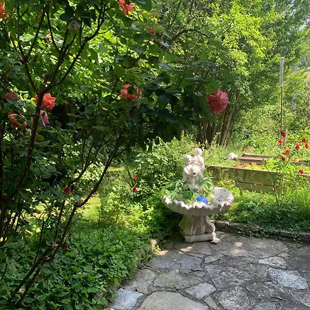 Apartament Bio Pichler