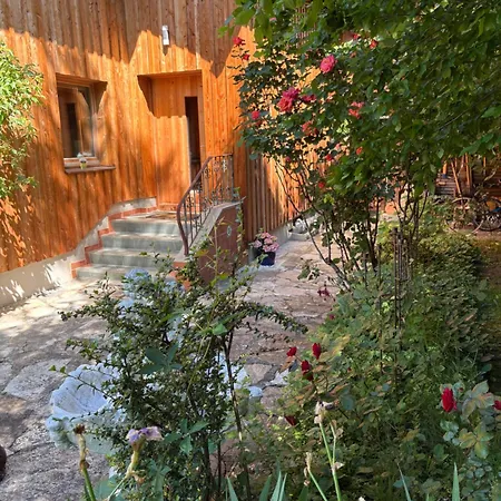 Bio Pichler Apartament Schladming