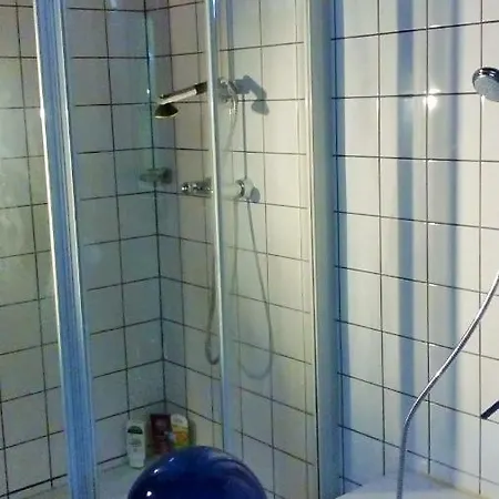 Bio Pichler Apartament Schladming