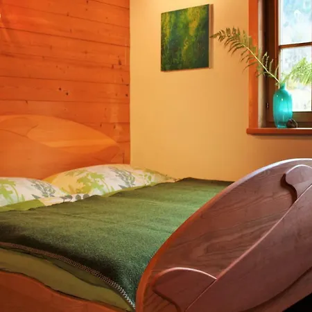Bio Pichler Apartament Schladming